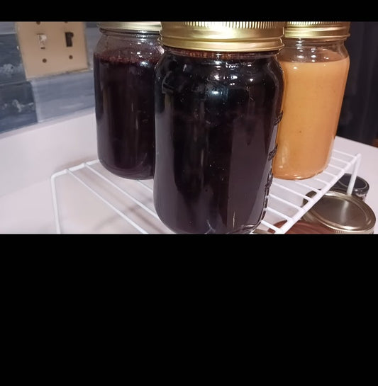 Elderberry syrup